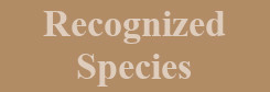 Species