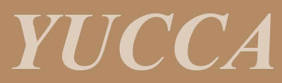 Yucca